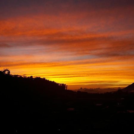 Bajawa-Roo Hotel エクステリア 写真