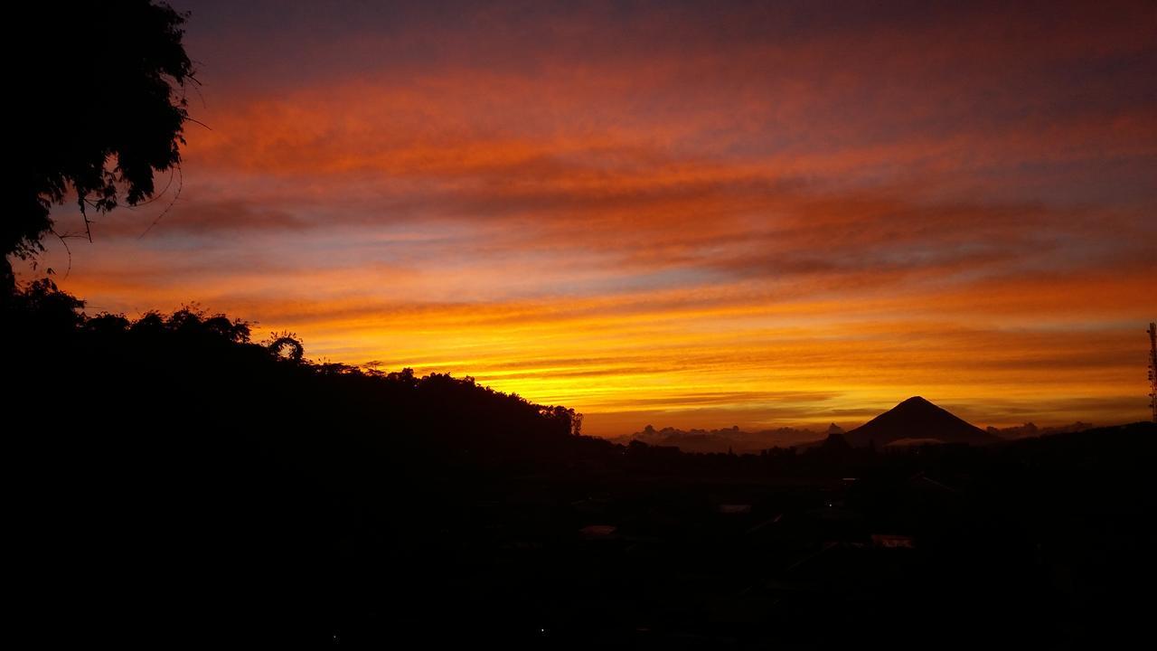 Bajawa-Roo Hotel エクステリア 写真