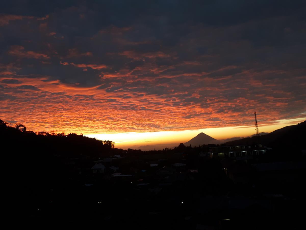 Bajawa-Roo Hotel エクステリア 写真